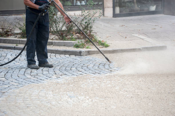 Best Boat and Dock Cleaning  in Altadena, CA