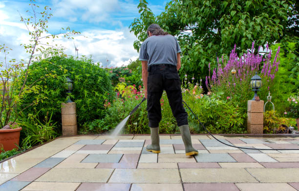 Best Driveway Pressure Washing  in Altadena, CA