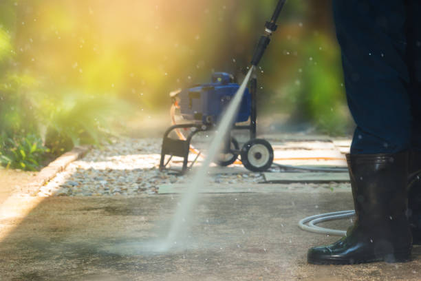 Best Sidewalk and Walkway Cleaning  in Altadena, CA